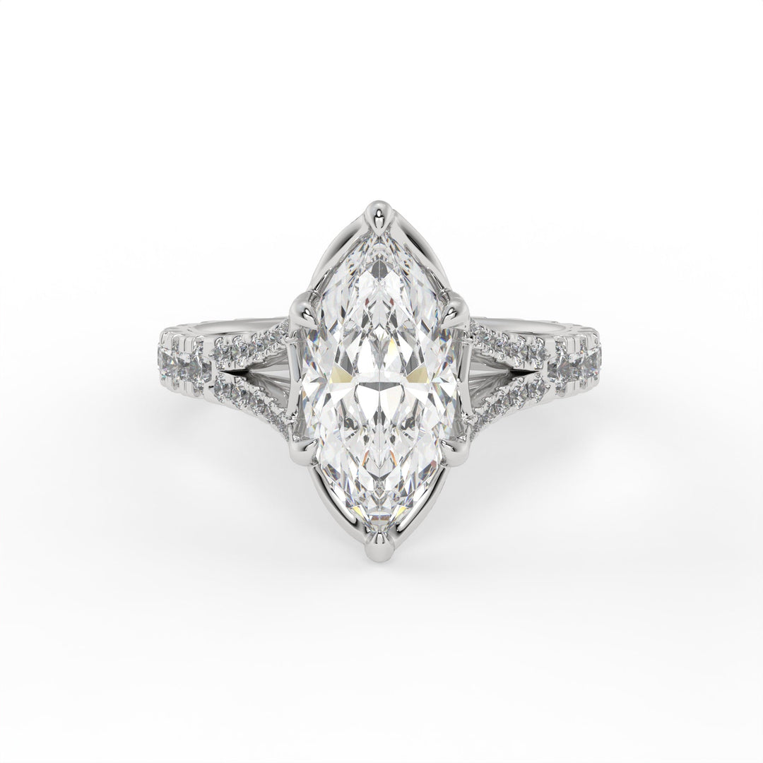 Divine Marquise Symphony