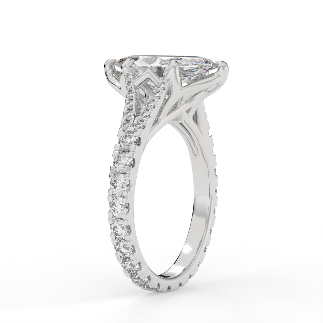 Divine Marquise Symphony