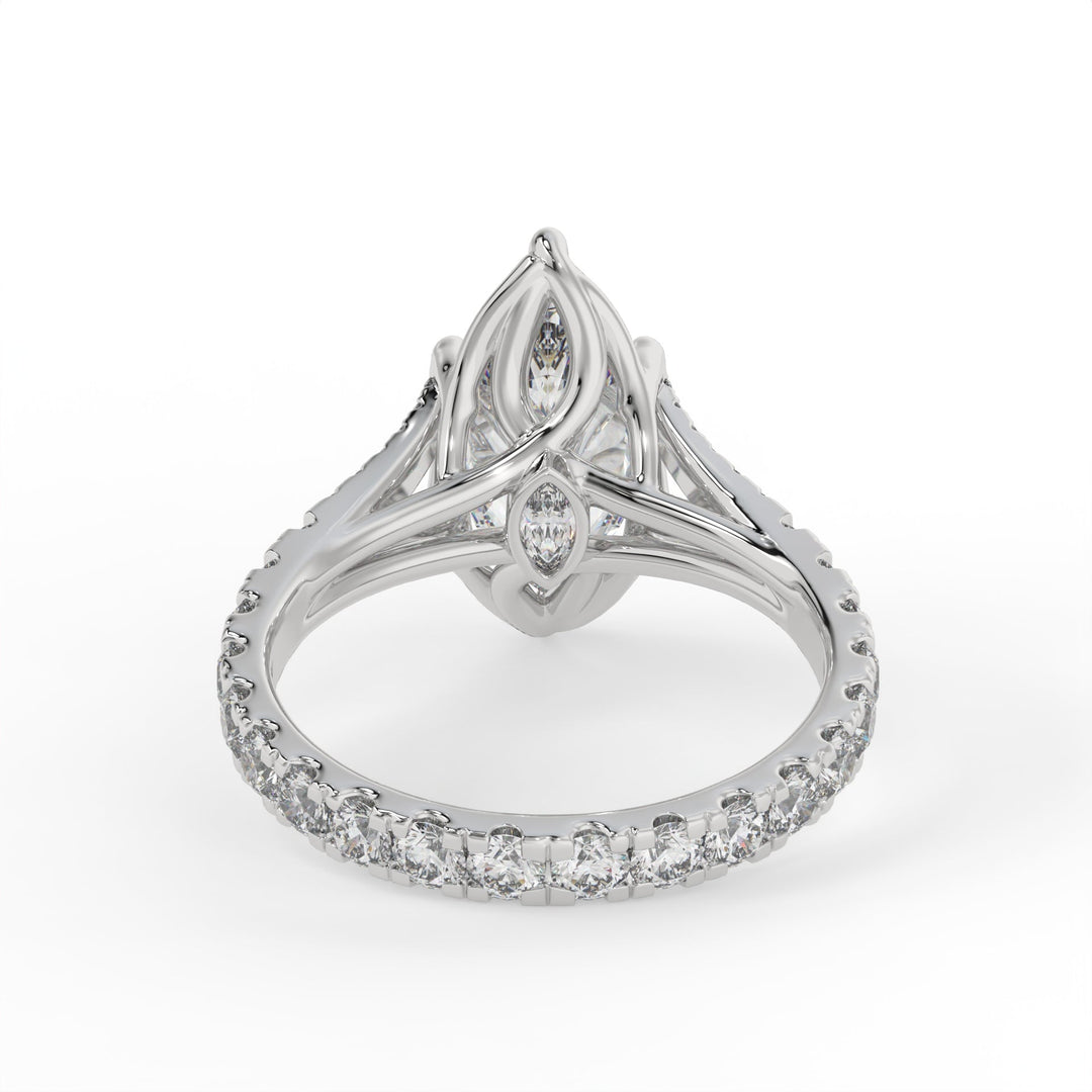 Divine Marquise Symphony